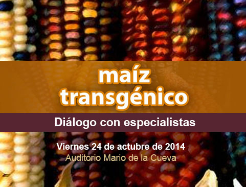 Diálogo entre especialistas: Maíz transgénico