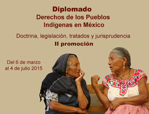 Diplomado Derechos de los Pueblos Indígenas en México. Doctrina, legislación, tratados y jurisprudencia