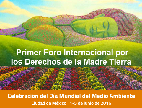 Primer Foro Internacional por los Derechos de la Madre Tierra