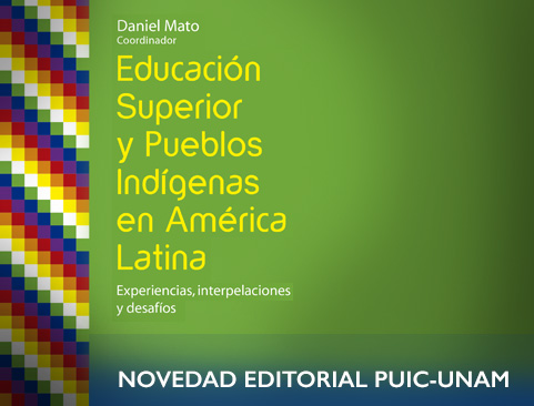 Consulta el libro: Educación Superior y Pueblos Indígenas en América Latina. Experiencias, interpelaciones y desafíos