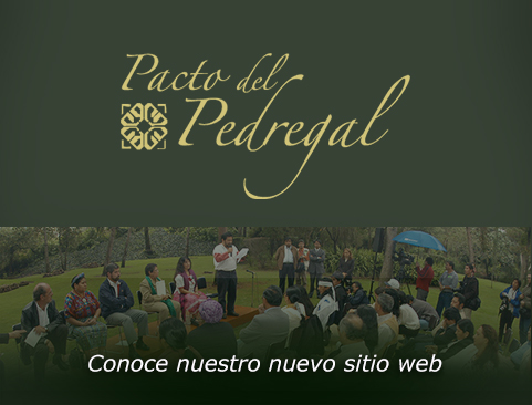Visita el sitio web: Pacto del Pedregal
