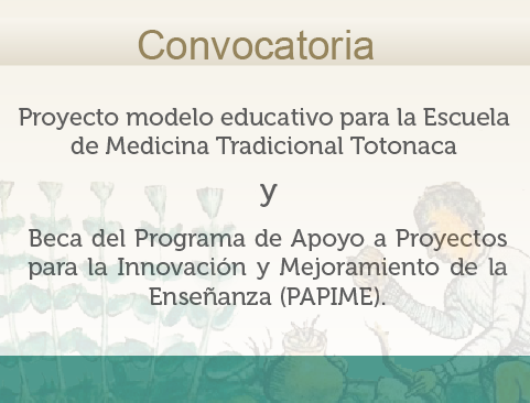 Convocatoria para participar en el proyecto Modelo educativo para la Escuela de Medicina Tradicional Totonaca y Beca del Programa de Apoyo a Proyectos para la Innovación y Mejoramiento de la Enseñanza