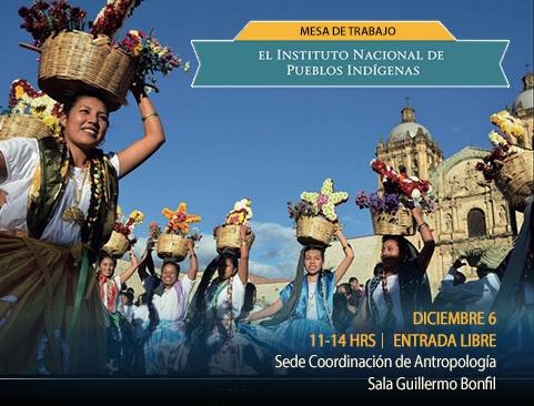Mesa de trabajo El Instituto Nacional de Pueblos Indígenas