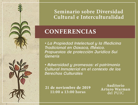 Seminario sobre Diversidad Cultural e Interculturalidad. Conferencias