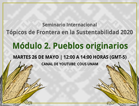 Seminario Internacional Tópicos de Frontera en la Sustentabilidad 2020