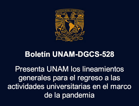 Boletín UNAM-DGCS-528. Presenta UNAM los lineamientos generales para el regreso a las actividades universitarias en el marco de la pandemia