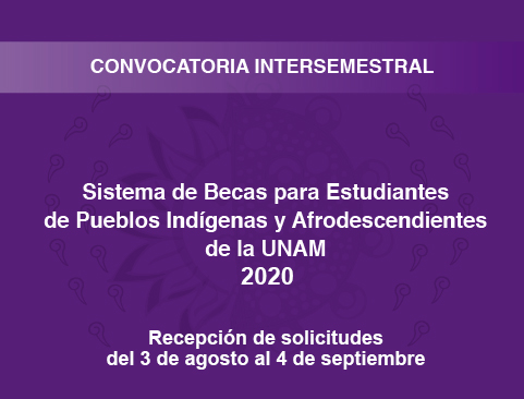 Convocatoria intersemestral del Sistema de Becas para Estudiantes de Pueblos Indígenas y Afrodescendientes de la UNAM 2020
