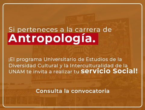 Servicio social para el área de Antropología