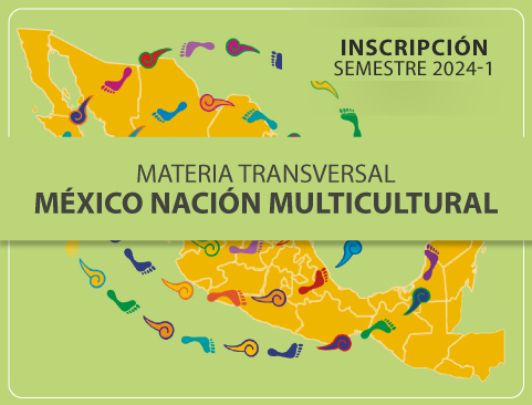 Materia Transversal México Nación Multicultural. Semestre 2024-1