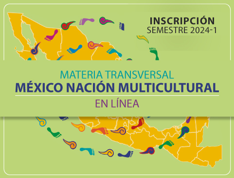 Materia Transversal México Nación Multiculturala en línea. Semestre 2024-1
