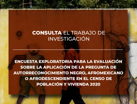 Encuesta Exploratoria para la Evaluación de la Pregunta de Autorreconocimiento Negro, Afromexicano o Afrodescendiente en el Censo de Población y Vivienda 2020 (EEPAA2020)