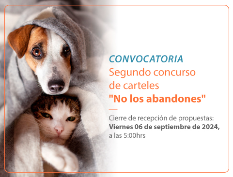 Convocatoria del Segundo Concurso de Carteles “No los abandones” 2024
