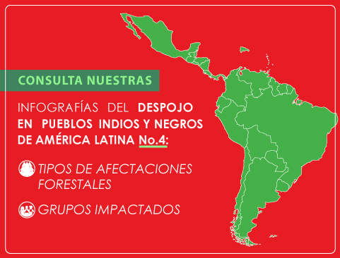 Infografías del despojo en Pueblos Indios y Negros de América Latina No.4: Tipos de afectaciones forestales y Grupos impactados