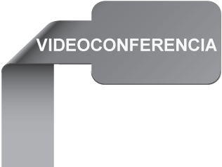 Curso por videoconferencia