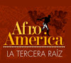 Cartel - Seminario internacional Afroamérica. La tercera raíz. Pensar desde otras experiencias