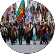 50 años de movimientos indígenas en América Latina