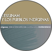 TESIUNAM y los pueblos indígenas