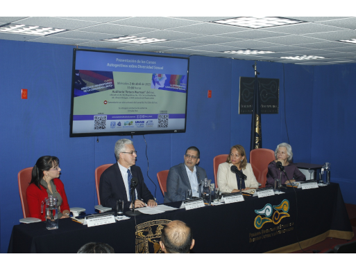 Presentación de los Cursos Autogestivos sobre Diversidad Sexual