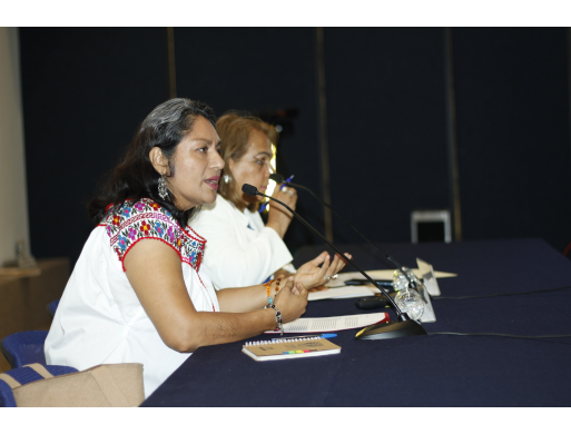 1er Foro de Diálogos sobre Democracia, Justicia y Sociedad: Desde los Pueblos Originarios: Perspectivas Interculturales