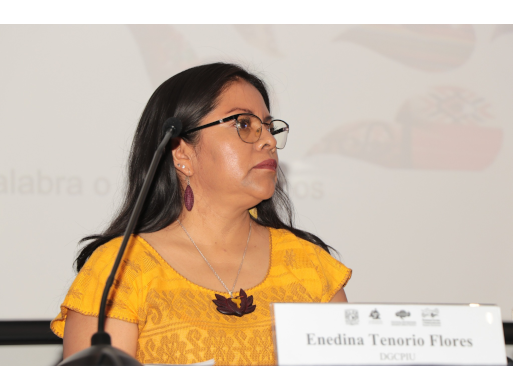 1er Foro de Diálogos sobre Democracia, Justicia y Sociedad: Desde los Pueblos Originarios: Perspectivas Interculturales