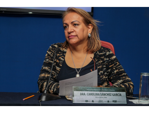 Conferencia “Migraciones laborales agrícolas en la frontera sur e intervención social: diagnóstico con familias indígenas de Chiapas en la zafra de Quintana Roo”