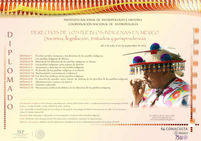 Diplomado Derechos de los Pueblos Indígenas en México. Doctrina, legislación, tratados y jurisprudencia