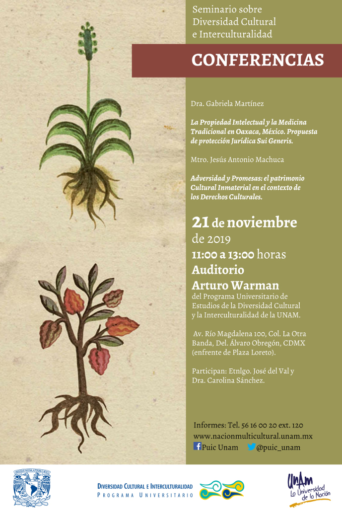 Seminario sobre Diversidad Cultural e Interculturalidad. Conferencias