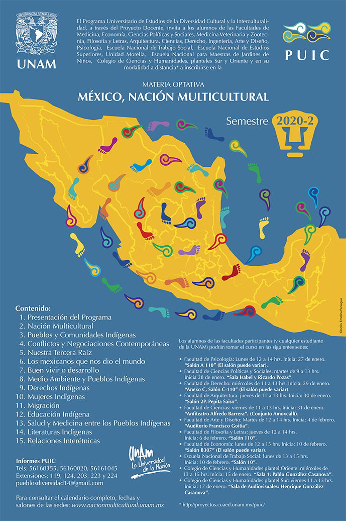 Materia optativa México, Nación Multicultural. Semestre 2020-2