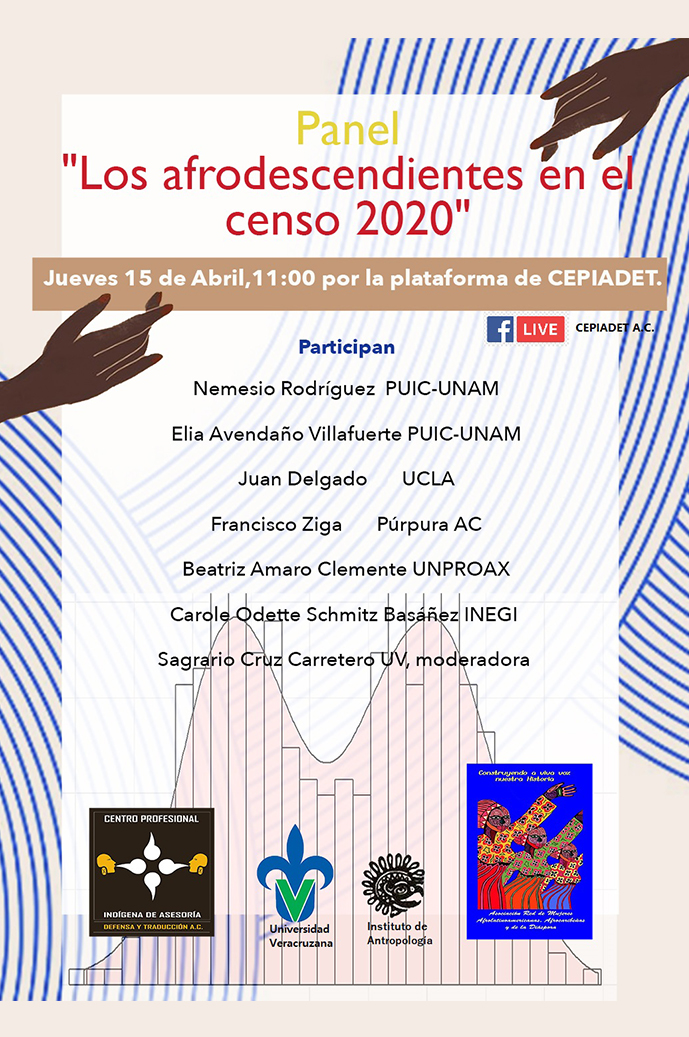 Panel Los afrodescendientes en el censo 2020